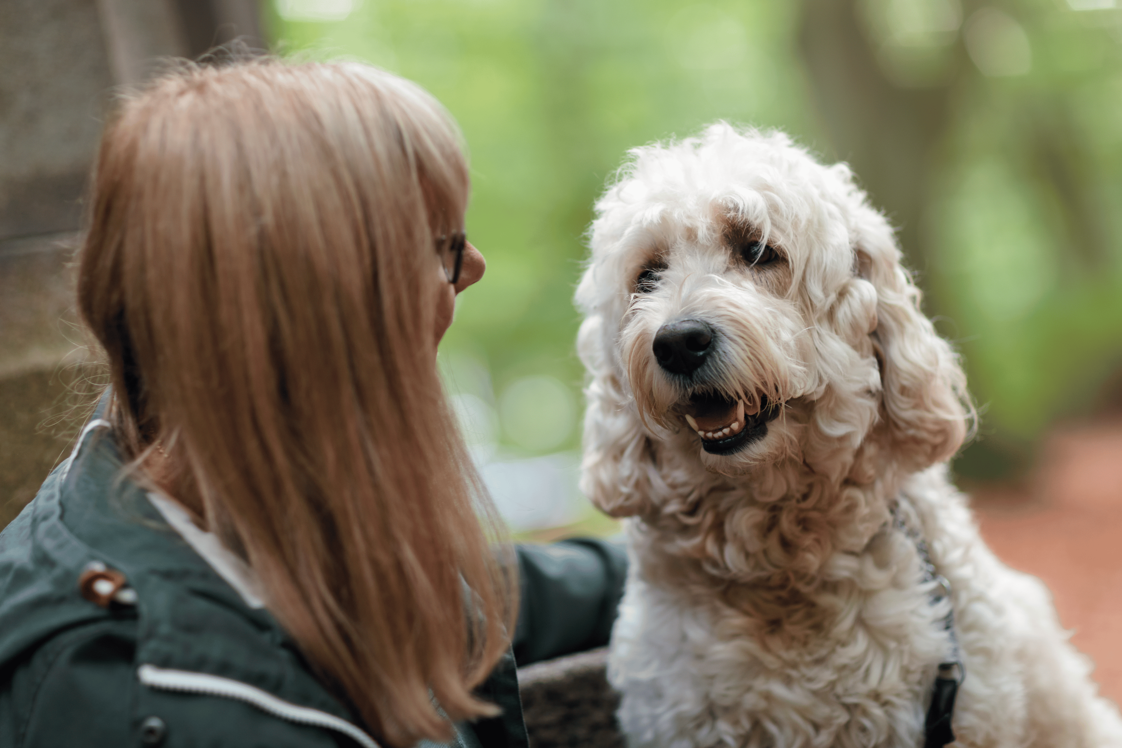 communication animal de compagnie